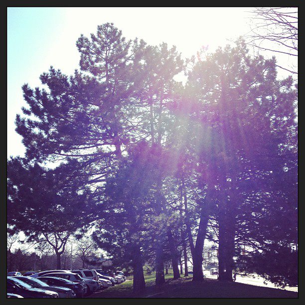 Photo credit: @nxayasane / Instagram