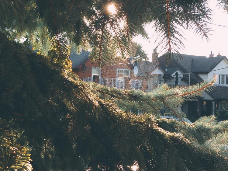 cobweb in the sunshine and the last Sunday I sat on this particular porch